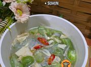 Gambar pucuk suun