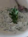 Mayonesa de Cilantro
