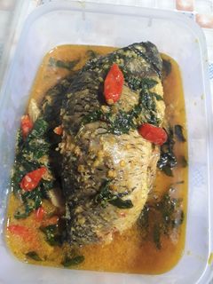 Foto resep Ikan Mas Bumbu Kuning