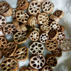A picture of Lotus stem Fryums.