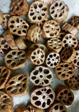 A picture of Lotus stem Fryums.