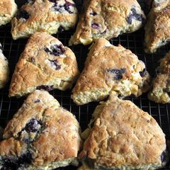 Blueberry & White Chocolate Scones A picture of Blueberry & White Chocolate Scones.