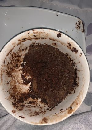 Una foto de Brownie con pepitas de chocolate  con solo 10 elementos