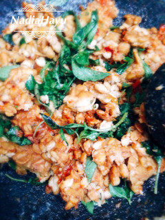 Foto resep Tempe penyet sambal kencur