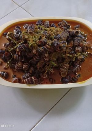 Foto resep Gulai siput sedut (melayu food ala windy)