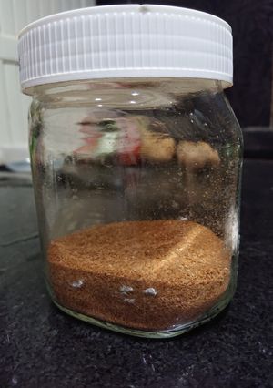 Foto resep Economical Shrimp Powder / Kaldu Udang Ekonomis