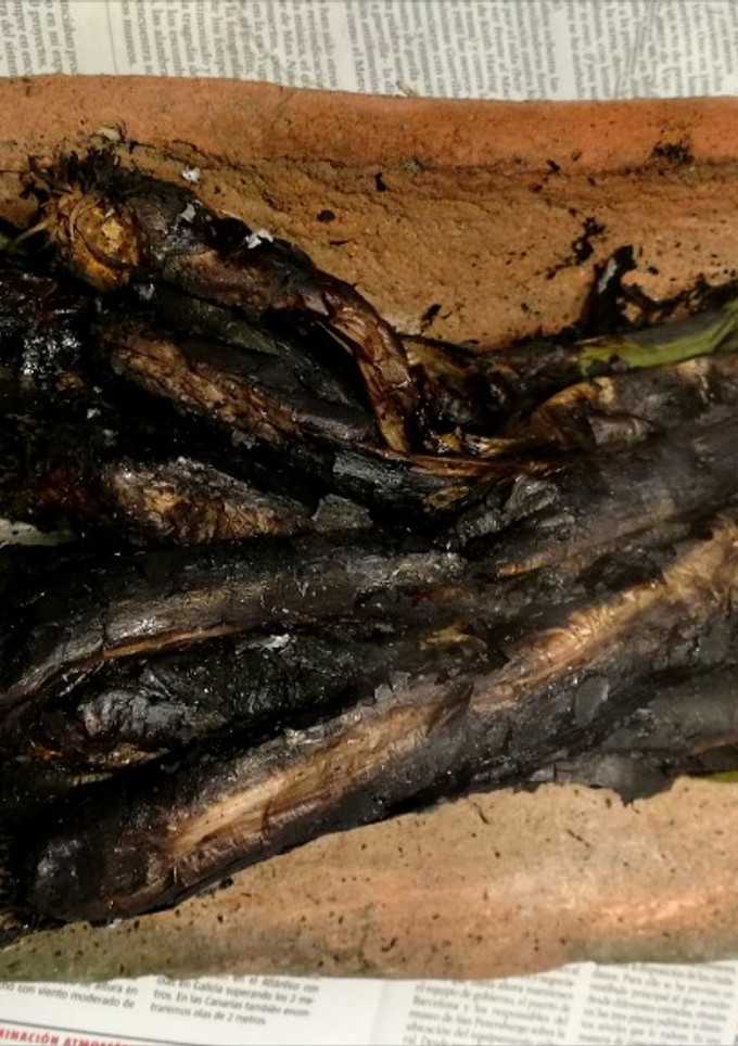 Una foto de Calçots a la brasa 🔥🔥🔥 🟨🟥🟨🟥🟨🟥🟨🟥🟨