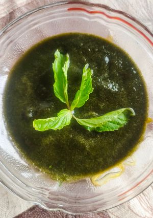 धनिया पुदीना की चटनी (dhaniya pudina ki chutney recipe in Hindi) रेसिपी मुख्य फोटो
