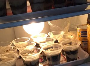 Foto resep Cheese cake murah meriah buat jualan