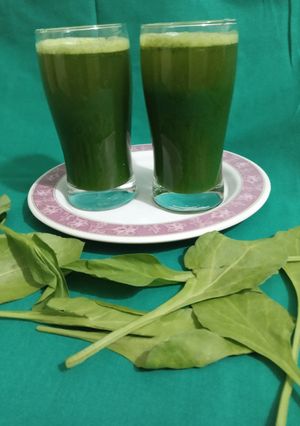 પાલક નો જ્યૂસ (Palak Juice Recipe In Gujarati) રેસીપી મુખ્ય ફોટો