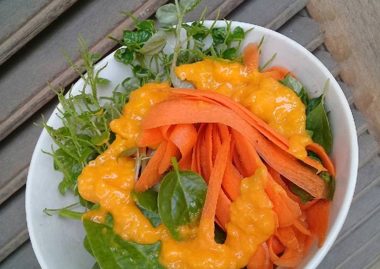 Garden Salad with Mango Sauce