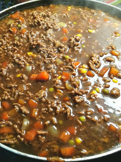 A picture of Beef and Onion in Gravy.