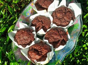 Una foto de Muffins de avena y chocolate (sin tacc, sin azúcar)