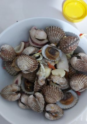Foto resep Kerang dara rebus