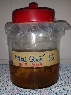 Hình của món SP.0244 - Rượu Mai Quế Lộ.