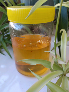 عکسی از دستور شربت بار