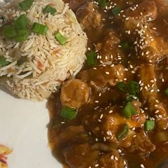A picture of Chicken in honey garlic gravy 🐔🧄🍯.