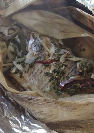 A picture of Foil-Wrapped Carp.