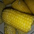 ذرة🌽 مسلوقة مع زبدة 😋
