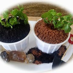 A picture of Whosayna’s Mud Pudding.