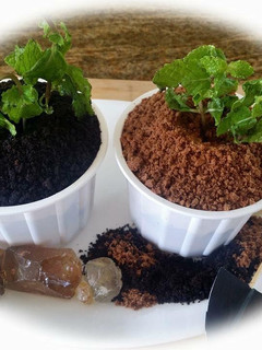 A picture of Whosayna’s Mud Pudding.