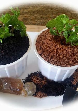 A picture of Whosayna’s Mud Pudding.