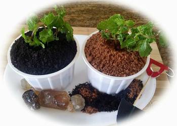 Fast Cooking Methods Whosaynas Mud Pudding Delicious and Healthy