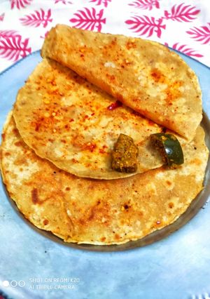 A picture of Spicy garlic parantha.