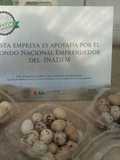 Huevo de codorniz con nopalitos
