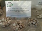 Una foto de huevo codorniz