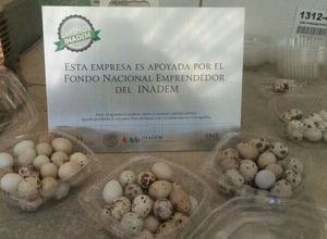 Una foto de Huevo de codorniz con nopalitos