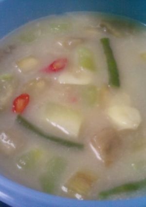 Foto resep Sayur Lodeh no msg
