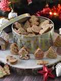 Stuffed gingerbread cookies & small gingerbread home