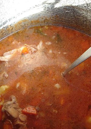 Gulyásleves szárnyasból recept fotója