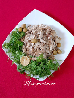 عکسی از دستور تن ماهی خونگی