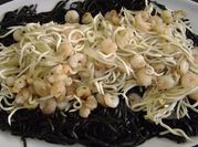 Una foto de pasta de sepia