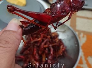 Foto resep Belalang Bacem kriuukk bySYK