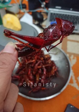 Foto resep Belalang Bacem kriuukk bySYK