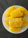 Boiled Corn on the Cob