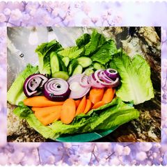 A picture of Veggies salad with dash of vinegar.