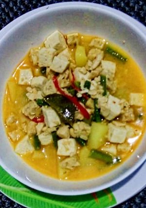 Foto resep Sayur lodeh sederhana