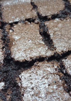 A picture of Brownies.