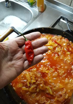 Moby féle lecsó recept fotója