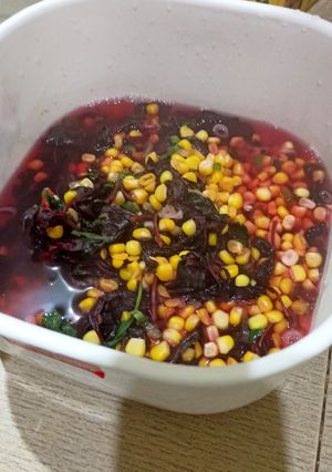 Foto resep Hanya Sayur Bayam Berkuah