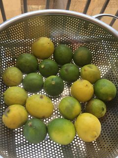 عکسی از دستور لیمو عمانی