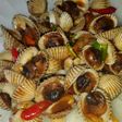 Kerang Padang praktis