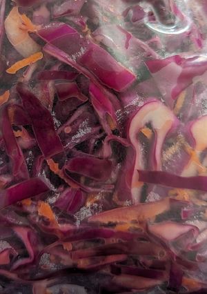 A picture of Modified Asian dressing (no soy) slaw.
