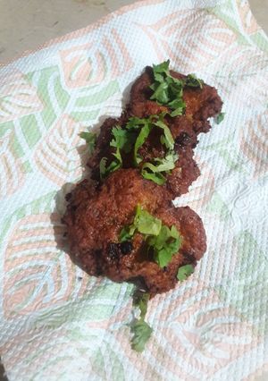 A picture of Chicken chappli kabab.