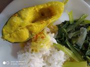 Gambar ikan patin
