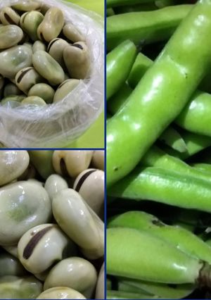 صورة لوصفة كيفية طهو واحتفاظ حبوب الفول الأخضر في المجمد